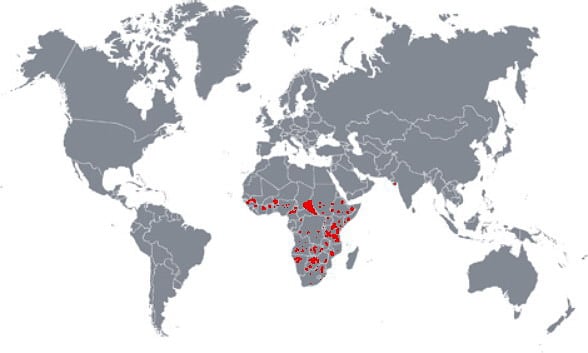 Lion distribution in 2018