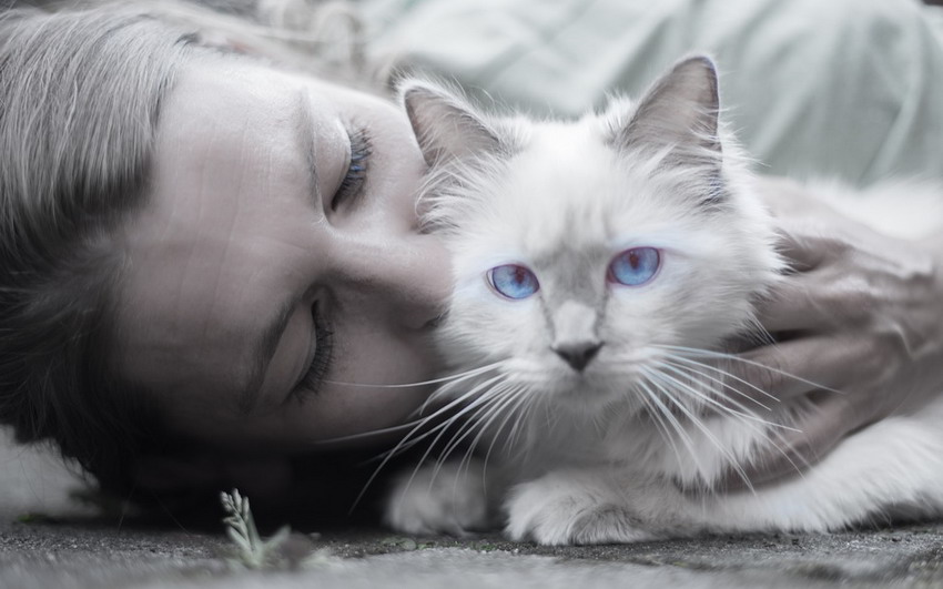 powerful relationship between a woman and her cat