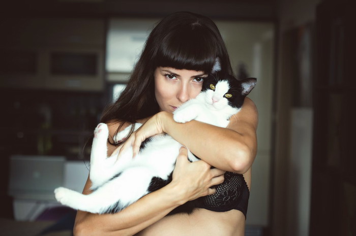 Show affection to your cat daily because this will make her strong both physically and mentally